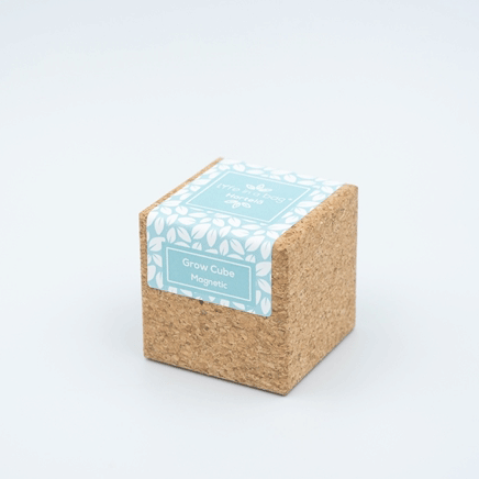 cube aimanté menthe