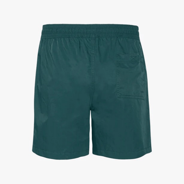 maillot coulorful standard
